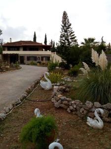 un groupe de cygnes sur le côté d'une route dans l'établissement Villa Rita - Porto Heli, à Porto Heli