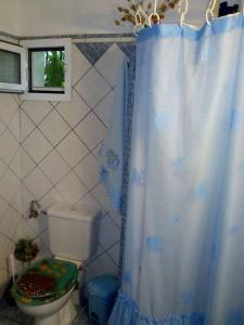 a bathroom with a toilet and a blue shower curtain at Villa Rita - Porto Heli in Porto Heli