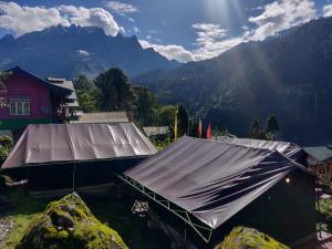 Příroda nedaleko luxury tent