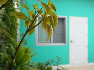 ein blaues Haus mit einem Fenster und einer Pflanze in der Unterkunft Makkasan Happy Home in Bangkok