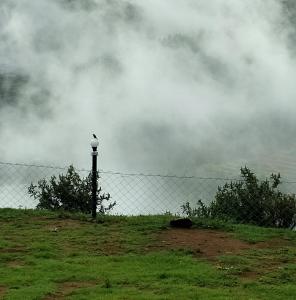 Imagem da galeria de The Bowers Chalet Private Campfire & Lawn BBQ, WIFI, Breakfast Hill Top 360 degree view em Ooty mais 13 fotografias