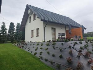 a house with a bunch of potted plants in front of it at Apartamenty Jaworzynka in Jaworzynka