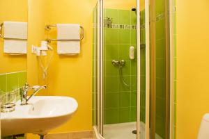 a bathroom with a sink and a shower at Demians in Saldus