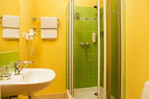 薩爾杜斯的住宿－德曼斯酒店，一间带水槽和淋浴的浴室