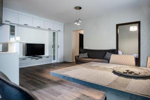 TV a/nebo společenská místnost v ubytování Liszt Ferenc Apartments