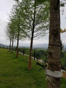 住宿加早餐旅馆周边自然景观