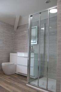 a bathroom with a glass shower and a toilet at Lloydia in Porthmadog