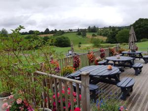 
a row of wooden benches sitting on top of a lush green hillside at Fingle Glen Golf Hotel at Bishops Park in Exeter
