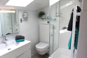 a bathroom with a toilet and a shower and a sink at Ferienwohnung am Stemberg in Detmold +17 photos