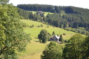 una casa en medio de un campo con árboles en Ferienwohnung beim Pauli, en Titisee-Neustadt