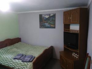 シネヴィルにあるSynevyrske Perehrestyaの小さなベッドルーム(ベッド1台、テレビ付)