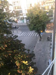 Okolica w pobliżu tego apartamentu