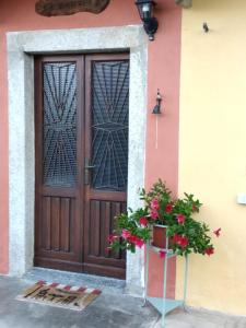 a door of a house with a potted plant in front at Casa Bartula in Bolzano Novarese