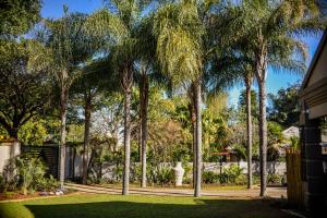 a group of palm trees in a yard at Clivia Lodge in Louis Trichardt