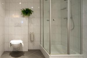 a bathroom with a shower and a toilet at Appartementen Valkenburg in Valkenburg +56 photos