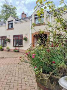 Gallery image of Bessiestown Country Guesthouse in Carlisle