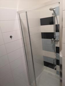 ミエンジズドロイェにあるAQUAMARINA ONYX 147のバスルーム(ガラスドア付きのシャワー付)
