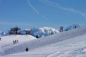 Eine Gruppe von Menschen fährt einen schneebedeckten Hang hinunter. in der Unterkunft Studio au pied des pistes- Le Praz de Lys in Taninges