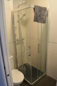 La salle de bains est pourvue d'une douche en verre et de toilettes. dans l'établissement Apartamento en el centro histórico, à Cordoue