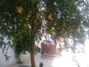Kép Pomegranate apartment szállásáról Iráklióban a galériában