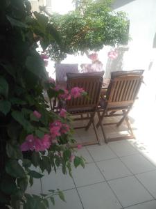 A garden outside Pomegranate apartment