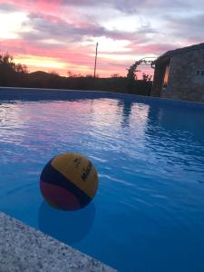 Fotografie z fotogalerie ubytování Šibenik Mara-Ana with outdoor swimming poll v Šibeniku