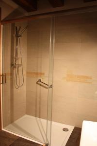 y baño con ducha y puerta de cristal. en CASA RURAL FERNANDOEGEA, en Ayesa