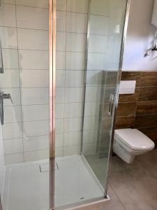 a shower in a bathroom with a toilet at Merinn in Rogowo