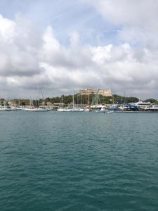 a group of boats are docked in a harbor at 6 rue de la tourraque in Antibes