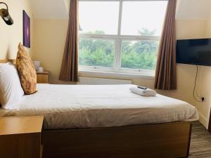 Bett in einem Zimmer mit einem großen Fenster in der Unterkunft Albert Guest House in Kingston upon Thames