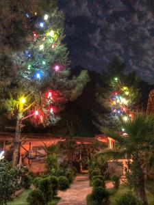 Ein Garten an der Unterkunft İpek Apart Hotel