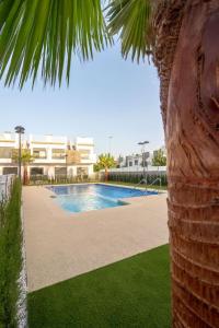 a palm tree next to a swimming pool at Superbe appartement Neuf Moderne Proche de la mer Climatisation WIFI in Pilar de la Horadada