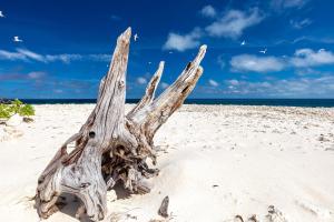 Fotografie z fotogalerie ubytování Wilson Island v destinaci Wilson Island