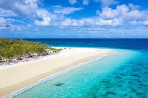 Fotografie z fotogalerie ubytování Wilson Island v destinaci Wilson Island