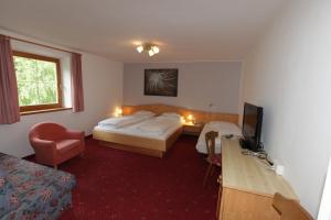 Televízia a/alebo spoločenská miestnosť v ubytovaní Hotel Goldener Adler