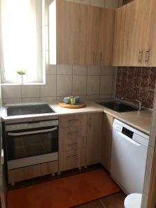 Kuchyň nebo kuchyňský kout v ubytování Swiss Hostel