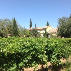 um campo de culturas com uma casa ao fundo em Gîte la Genestière em Sérignan-du-Comtat