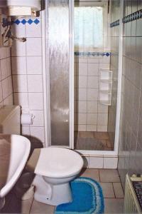 ein kleines Bad mit einem WC und einer Dusche in der Unterkunft Bungalow im Grünen in Zirkow