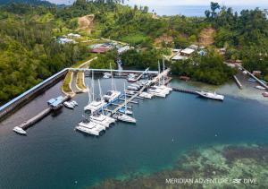 eine Luftaufnahme eines Yachthafens mit Booten im Wasser in der Unterkunft Meridian Adventure Marina Club & Resort in Saonek