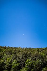 モンテリッジョーニにあるAgriturismo Biologico Ebbioの緑樹林上空の青空