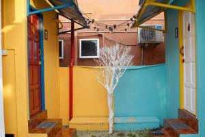 a tree in the middle of a building with two doors at Vagary Pangkor in Pangkor