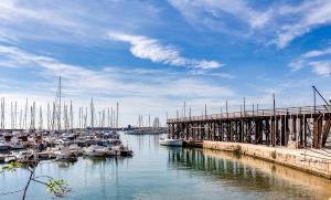 un muelle con barcos atracados en un puerto deportivo en Canonigo Torres, en Torrevieja