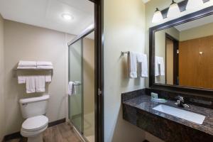 a bathroom with a toilet and a sink and a mirror at AmericInn by Wyndham Merrill in Merrill