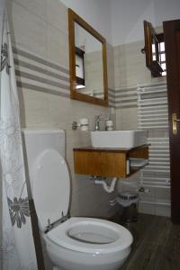 a bathroom with a white toilet and a sink at Casa Muskátli Vendégház in Sovata