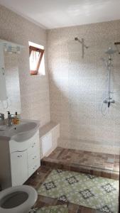 a bathroom with a shower and a toilet and a sink at Casa Arina in Sulina