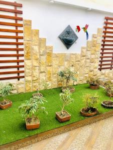 Zahrada ubytování Hotel Chimborazo Internacional
