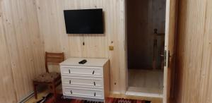 TV a/nebo společenská místnost v ubytování Котедж під горою