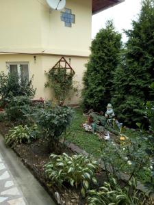 a garden in front of a house with plants at 2Rivers in Săsciori