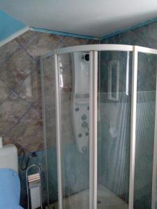 a bathroom with a shower and a toilet at 2Rivers in Săsciori