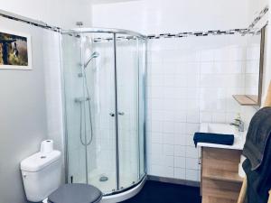 ein Bad mit einer Dusche, einem WC und einem Waschbecken in der Unterkunft Gite Ecuries Vineuil Jump in Vineuil